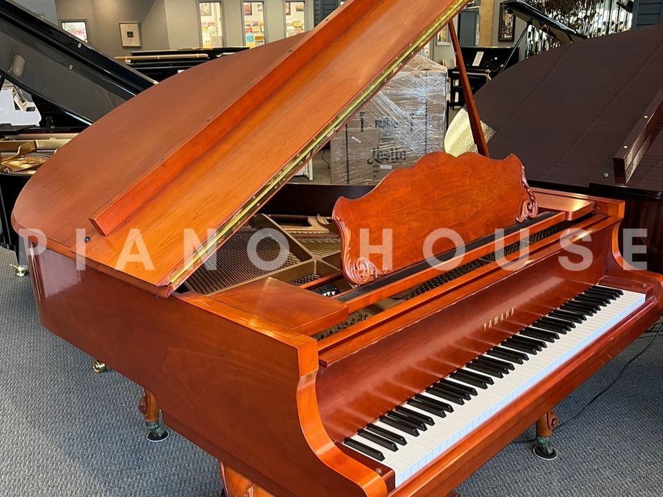 Hình ảnh chi tiết YAMAHA GB1K FP góc chụp 2